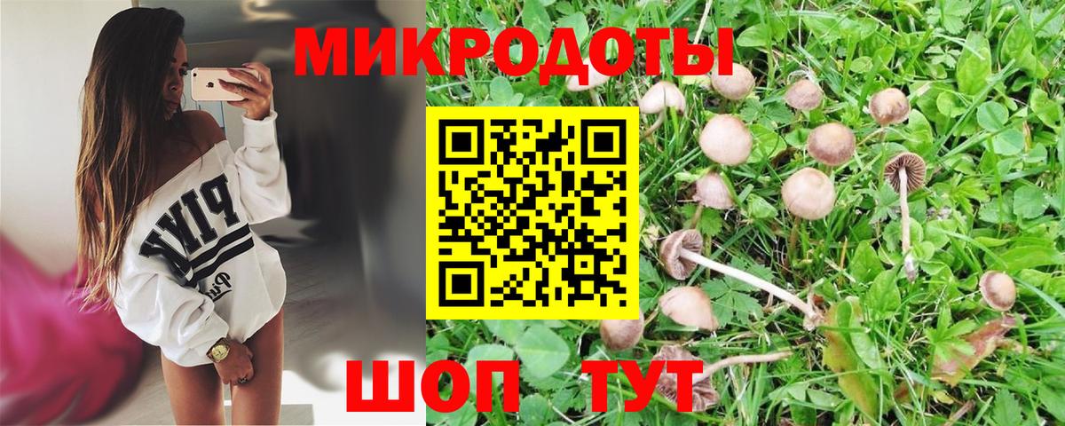 Псилоцибиновые грибы прущие грибы Свободный